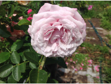 ���� ���������� ��������������� - 400 ���.