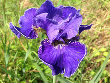 ���� ������������