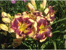 �������