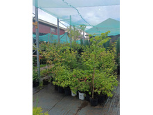 ����������� viber 2023-07-11 15-15-08-535.jpg