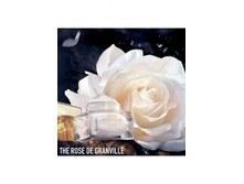 Dior Prestige ���������� ��� ����, 3 ��. ��������� ���� 699 �.