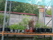 ����������� viber 2023-07-11 15-15-08-877.jpg