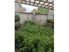 ����������� viber 2023-07-11 15-15-10-344.jpg