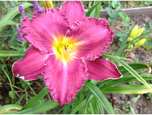 ���� �� �����