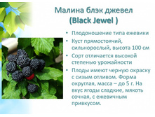 ������ ���� ������ +23�