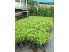 ����������� viber 2023-07-11 15-15-09-013.jpg