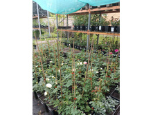 ����������� viber 2023-07-11 15-15-11-113.jpg