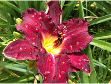 �������� ������ ����