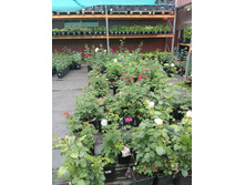 ����������� viber 2023-07-11 15-11-01-613.jpg