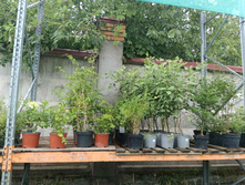 ����������� viber 2023-07-11 15-15-08-783.jpg