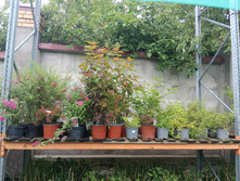 ����������� viber 2023-07-11 15-15-08-720.jpg