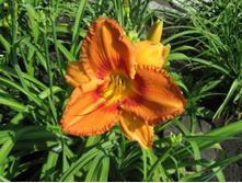 ����� ����+))