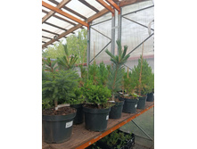 ����������� viber 2023-07-11 15-15-09-207.jpg