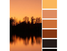 ���� ���.jpg