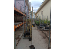 ����������� viber 2023-07-11 15-15-10-426.jpg