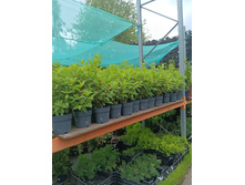 ����������� viber 2023-07-11 15-15-11-372.jpg