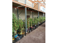 ����������� viber 2023-07-11 15-15-10-487.jpg