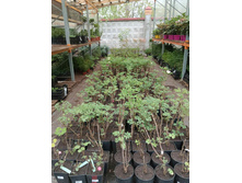 ����������� viber 2023-07-11 15-09-52-928.jpg