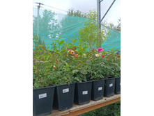 ����������� viber 2023-07-11 15-15-11-515.jpg