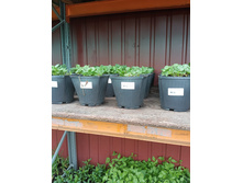 ����������� viber 2023-07-11 15-15-10-736.jpg