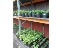 ����������� viber 2023-07-11 15-15-10-804.jpg