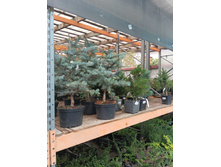 ����������� viber 2023-07-11 15-15-09-887.jpg