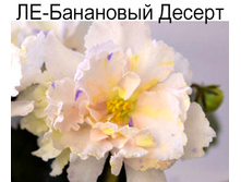 ��-��������� ������