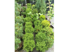 ����������� viber 2023-07-11 15-15-09-695.jpg