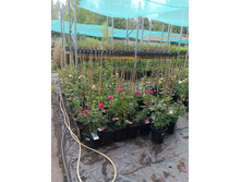 ����������� viber 2023-07-11 15-15-10-597.jpg