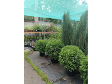 ����������� viber 2023-07-11 15-15-09-761.jpg