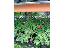 ����������� viber 2023-07-11 15-15-11-306.jpg