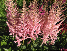 �������� ������ ��� �����