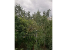 13 ���� 2023