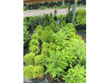 ����������� viber 2023-07-11 15-15-10-279.jpg