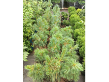 ����������� viber 2023-07-11 15-15-09-408.jpg