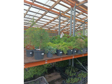 ����������� viber 2023-07-11 15-15-09-080.jpg