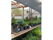 ����������� viber 2023-07-11 15-15-09-968.jpg