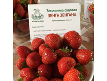 �������� ����� �������, �9, 45 ���