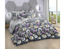 ������� ���� �������� 220 ��