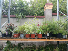 ����������� viber 2023-07-11 15-15-08-646.jpg