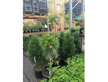 ����������� viber 2023-07-11 15-15-10-054.jpg