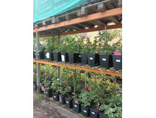 ����������� viber 2023-07-11 15-15-11-181.jpg