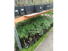 ����������� viber 2023-07-11 15-15-11-441.jpg