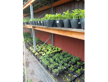 ����������� viber 2023-07-11 15-15-10-914.jpg