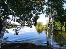 IMG 20230716 143518.jpg