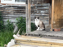 Photo 1 2023-08-05 13-38-51.jpg