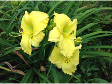 �������� ��� �����