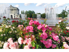 IMG 20230701 181830.jpg