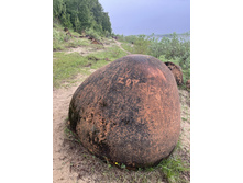 Photo 14 2023-08-05 13-38-51.jpg