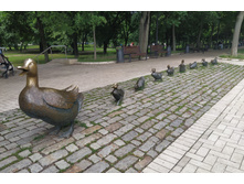 IMG 20230702 142057.jpg